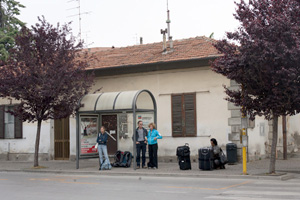 bus