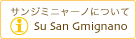 San Gimignanoについて