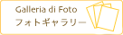 フォトギャラリー